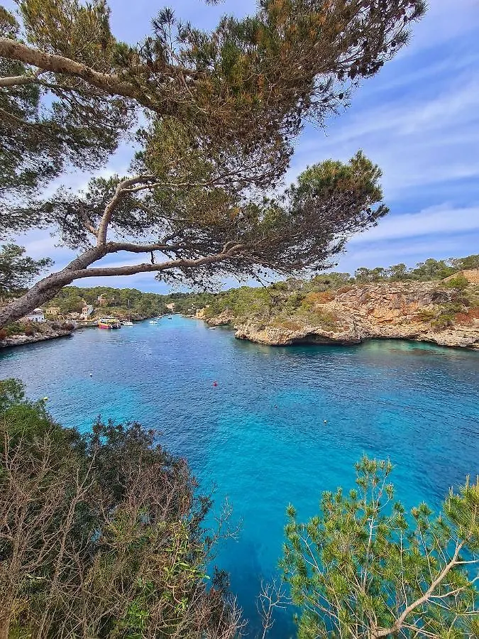 Ferienwohnung Moderne Penthouse-Whg am Hafen von Cala d'Or / WLAN, Klimaanlage, Pool 0*, Cala D´Or
